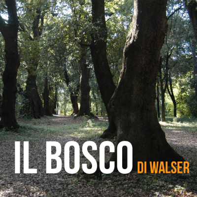 IL BOSCO di Walser